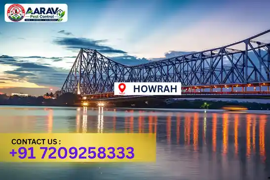 pest control in howrah, pest control howrah, pest control services howrah, pest control company in howrah, best pest control in howrah, professional pest control howrah, termite control in howrah, termite treatment howrah, cockroach control howrah, bed bug control howrah, mosquito control howrah, rat control howrah, rodent control howrah, ant control howrah, lizard control howrah, wood borer control howrah, wood borer treatment howrah, general pest control howrah, home pest control howrah, commercial pest control howrah, pest control near me howrah, pest control price howrah, pest control price list howrah, price list in howrah, pest control cost howrah, termite control price howrah, wood borer treatment price howrah, best pest control company in howrah, pest control service in howrah, insect care pest control howrah