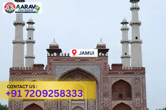pest control in jamui, pest control jamui, pest control services jamui, pest control company in jamui, aarav pest control jamui, best pest control in jamui, professional pest control jamui, termite control in jamui, termite treatment jamui, cockroach control jamui, bed bug control jamui, mosquito control jamui, rat control jamui, rodent control jamui, ant control jamui, lizard control jamui, wood borer control jamui, wood borer treatment jamui, general pest control jamui, home pest control jamui, commercial pest control jamui, pest control near me jamui, pest control price jamui, pest control price list jamui, price list in jamui, pest control cost jamui, termite control price jamui, wood borer treatment price jamui, best pest control company in jamui, pest control service in jamui, aarav pest control price list jamui, aarav pest control termite control jamui, aarav pest control wood borer treatment jamui