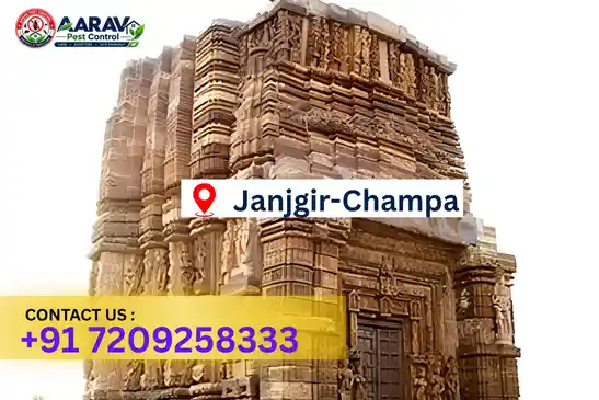 pest control in janjgir-champa, pest control janjgir-champa, pest control services janjgir-champa, pest control company in janjgir-champa, best pest control in janjgir-champa, professional pest control janjgir-champa, termite control in janjgir-champa, termite treatment janjgir-champa, cockroach control janjgir-champa, cockroach treatment janjgir-champa, bed bug control janjgir-champa, mosquito control janjgir-champa, rat control janjgir-champa, rodent control janjgir-champa, ant control janjgir-champa, lizard control janjgir-champa, general pest control janjgir-champa, home pest control janjgir-champa, commercial pest control janjgir-champa, pest control near me janjgir-champa, pest control price janjgir-champa, pest control price list janjgir-champa, price list in janjgir-champa, pest control cost janjgir-champa, termite control price janjgir-champa, termite treatment price janjgir-champa, best pest control company in janjgir-champa, pest control service in janjgir-champa, insect care pest control janjgir-champa