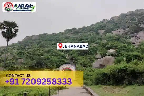 pest control in jehanabad, pest control jehanabad, pest control services jehanabad, pest control company in jehanabad, aarav pest control jehanabad, best pest control in jehanabad, professional pest control jehanabad, termite control in jehanabad, termite treatment jehanabad, cockroach control jehanabad, bed bug control jehanabad, mosquito control jehanabad, rat control jehanabad, rodent control jehanabad, ant control jehanabad, lizard control jehanabad, wood borer control jehanabad, wood borer treatment jehanabad, general pest control jehanabad, home pest control jehanabad, commercial pest control jehanabad, pest control near me jehanabad, pest control price jehanabad, pest control price list jehanabad, price list in jehanabad, pest control cost jehanabad, termite control price jehanabad, wood borer treatment price jehanabad, best pest control company in jehanabad, pest control service in jehanabad, aarav pest control price list jehanabad, aarav pest control termite control jehanabad, aarav pest control wood borer treatment jehanabad