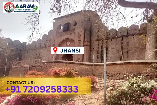 jhansi pest control, pest control in jhansi, pest control service jhansi, pest control company in jhansi, best pest control jhansi, home pest control jhansi, commercial pest control jhansi, termite control in jhansi, termite treatment jhansi, cockroach control jhansi, mosquito control jhansi, bed bug control jhansi, rat control jhansi, lizard control jhansi, ant control jhansi, general pest control jhansi, pest management jhansi, pest control price jhansi, jhansi pest control price list, price list in jhansi, affordable pest control jhansi, professional pest control jhansi, pest control near me jhansi, pest control services jhansi uttar pradesh, aarav pest control jhansi, aarav pest control in jhansi, aarav pest control uttar pradesh.