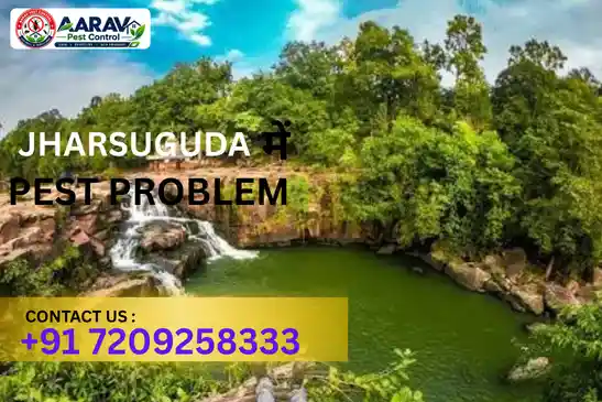 pest control jharsuguda, pest control service jharsuguda, best pest control jharsuguda, professional pest control jharsuguda, pest control company jharsuguda, pest control services jharsuguda, affordable pest control jharsuguda, residential pest control jharsuguda, commercial pest control jharsuguda, termite control jharsuguda, termite treatment jharsuguda, cockroach control jharsuguda, bed bug control jharsuguda, rodent control jharsuguda, mosquito control jharsuguda, insect control jharsuguda, house pest control jharsuguda, office pest control jharsuguda, pest removal jharsuguda, pest management jharsuguda, pest treatment jharsuguda, local pest control jharsuguda, reliable pest control jharsuguda, safe pest control jharsuguda, effective pest control jharsuguda, pest control company near jharsuguda, professional pest treatment jharsuguda, complete pest control solutions jharsuguda, home pest control service jharsuguda, business pest control service jharsuguda
