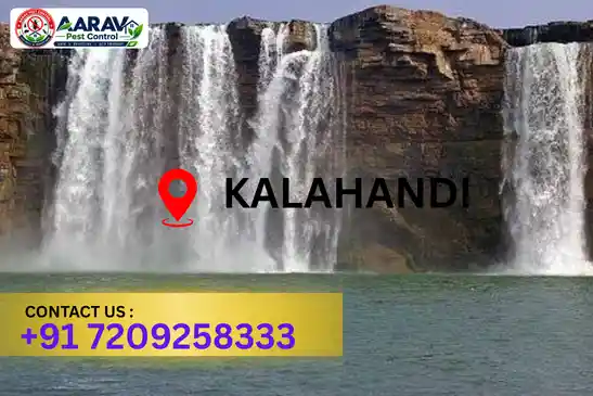 pest control kalahandi, pest control service kalahandi, best pest control kalahandi, professional pest control kalahandi, pest control company kalahandi, pest control services kalahandi, affordable pest control kalahandi, residential pest control kalahandi, commercial pest control kalahandi, termite control kalahandi, termite treatment kalahandi, cockroach control kalahandi, bed bug control kalahandi, rodent control kalahandi, mosquito control kalahandi, insect control kalahandi, house pest control kalahandi, office pest control kalahandi, pest removal kalahandi, pest management kalahandi, pest treatment kalahandi, local pest control kalahandi, reliable pest control kalahandi, safe pest control kalahandi, effective pest control kalahandi, pest control company near kalahandi, professional pest treatment kalahandi, complete pest control solutions kalahandi, home pest control service kalahandi, business pest control service kalahandi