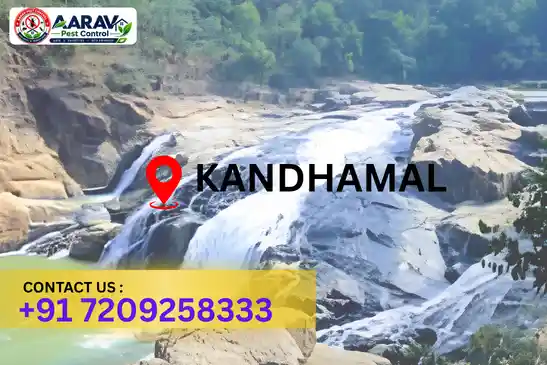 pest control kandhamal, pest control service kandhamal, best pest control kandhamal, professional pest control kandhamal, pest control company kandhamal, pest control services kandhamal, affordable pest control kandhamal, residential pest control kandhamal, commercial pest control kandhamal, termite control kandhamal, termite treatment kandhamal, cockroach control kandhamal, bed bug control kandhamal, rodent control kandhamal, mosquito control kandhamal, insect control kandhamal, house pest control kandhamal, office pest control kandhamal, pest removal kandhamal, pest management kandhamal, pest treatment kandhamal, local pest control kandhamal, reliable pest control kandhamal, safe pest control kandhamal, effective pest control kandhamal, pest control company near kandhamal, professional pest treatment kandhamal, complete pest control solutions kandhamal, home pest control service kandhamal, business pest control service kandhamal