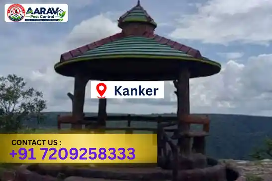 pest control in kanker, pest control kanker, pest control services kanker, pest control company in kanker, best pest control in kanker, professional pest control kanker, termite control in kanker, termite treatment kanker, cockroach control kanker, cockroach treatment kanker, bed bug control kanker, mosquito control kanker, rat control kanker, rodent control kanker, ant control kanker, lizard control kanker, general pest control kanker, home pest control kanker, commercial pest control kanker, pest control near me kanker, pest control price kanker, pest control price list kanker, price list in kanker, pest control cost kanker, termite control price kanker, termite treatment price kanker, best pest control company in kanker, pest control service in kanker, insect care pest control kanker