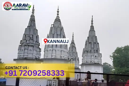 kannauj pest control, pest control in kannauj, pest control service kannauj, pest control company in kannauj, best pest control kannauj, home pest control kannauj, commercial pest control kannauj, termite control in kannauj, termite treatment kannauj, cockroach control kannauj, mosquito control kannauj, bed bug control kannauj, rat control kannauj, lizard control kannauj, ant control kannauj, general pest control kannauj, pest management kannauj, pest control price kannauj, kannauj pest control price list, price list in kannauj, affordable pest control kannauj, professional pest control kannauj, pest control near me kannauj, pest control services kannauj uttar pradesh, aarav pest control kannauj, aarav pest control in kannauj, aarav pest control uttar pradesh.