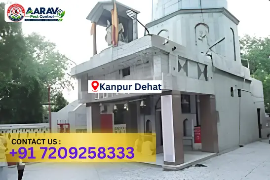 kanpur dehat pest control, pest control in kanpur dehat, pest control service kanpur dehat, pest control company in kanpur dehat, best pest control kanpur dehat, home pest control kanpur dehat, commercial pest control kanpur dehat, termite control in kanpur dehat, termite treatment kanpur dehat, cockroach control kanpur dehat, mosquito control kanpur dehat, bed bug control kanpur dehat, rat control kanpur dehat, lizard control kanpur dehat, ant control kanpur dehat, general pest control kanpur dehat, pest management kanpur dehat, pest control price kanpur dehat, kanpur dehat pest control price list, price list in kanpur dehat, affordable pest control kanpur dehat, professional pest control kanpur dehat, pest control near me kanpur dehat, pest control services kanpur dehat uttar pradesh, aarav pest control kanpur dehat, aarav pest control in kanpur dehat, aarav pest control uttar pradesh.
