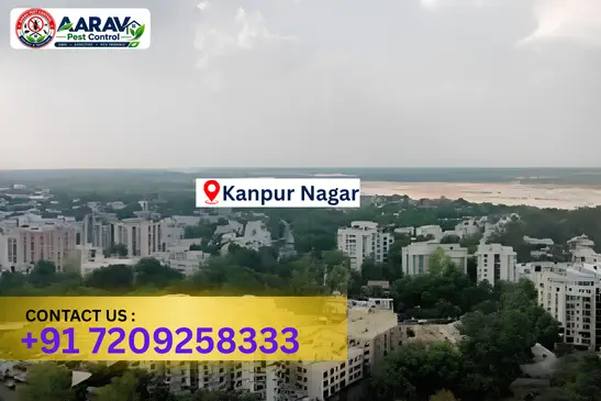 kanpur nagar pest control, pest control in kanpur nagar, pest control service kanpur nagar, pest control company in kanpur nagar, best pest control kanpur nagar, home pest control kanpur nagar, commercial pest control kanpur nagar, termite control in kanpur nagar, termite treatment kanpur nagar, cockroach control kanpur nagar, mosquito control kanpur nagar, bed bug control kanpur nagar, rat control kanpur nagar, lizard control kanpur nagar, ant control kanpur nagar, general pest control kanpur nagar, pest management kanpur nagar, pest control price kanpur nagar, kanpur nagar pest control price list, price list in kanpur nagar, affordable pest control kanpur nagar, professional pest control kanpur nagar, pest control near me kanpur nagar, pest control services kanpur nagar uttar pradesh, aarav pest control kanpur nagar, aarav pest control in kanpur nagar, aarav pest control uttar pradesh.