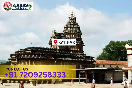 pest control in katihar, pest control katihar, pest control services katihar, pest control company in katihar, aarav pest control katihar, best pest control in katihar, professional pest control katihar, termite control in katihar, termite treatment katihar, cockroach control katihar, bed bug control katihar, mosquito control katihar, rat control katihar, rodent control katihar, ant control katihar, lizard control katihar, wood borer control katihar, wood borer treatment katihar, general pest control katihar, home pest control katihar, commercial pest control katihar, pest control near me katihar, pest control price katihar, pest control price list katihar, price list in katihar, pest control cost katihar, termite control price katihar, wood borer treatment price katihar, best pest control company in katihar, pest control service in katihar, aarav pest control price list katihar, aarav pest control termite control katihar, aarav pest control wood borer treatment katihar
