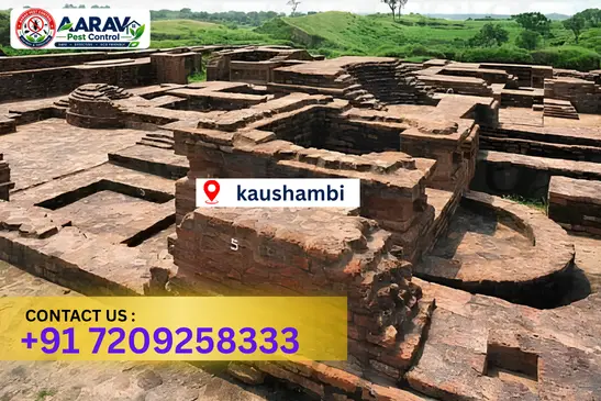 kaushambi pest control, pest control in kaushambi, pest control service kaushambi, pest control company in kaushambi, best pest control kaushambi, home pest control kaushambi, commercial pest control kaushambi, termite control in kaushambi, termite treatment kaushambi, cockroach control kaushambi, mosquito control kaushambi, bed bug control kaushambi, rat control kaushambi, lizard control kaushambi, ant control kaushambi, general pest control kaushambi, pest management kaushambi, pest control price kaushambi, kaushambi pest control price list, price list in kaushambi, affordable pest control kaushambi, professional pest control kaushambi, pest control near me kaushambi, pest control services kaushambi uttar pradesh, aarav pest control kaushambi, aarav pest control in kaushambi, aarav pest control uttar pradesh.