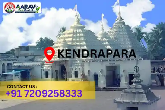 pest control kendrapara, pest control service kendrapara, best pest control kendrapara, professional pest control kendrapara, pest control company kendrapara, pest control services kendrapara, affordable pest control kendrapara, residential pest control kendrapara, commercial pest control kendrapara, termite control kendrapara, termite treatment kendrapara, cockroach control kendrapara, bed bug control kendrapara, rodent control kendrapara, mosquito control kendrapara, insect control kendrapara, house pest control kendrapara, office pest control kendrapara, pest removal kendrapara, pest management kendrapara, pest treatment kendrapara, local pest control kendrapara, reliable pest control kendrapara, safe pest control kendrapara, effective pest control kendrapara, pest control company near kendrapara, professional pest treatment kendrapara, complete pest control solutions kendrapara, home pest control service kendrapara, business pest control service kendrapara