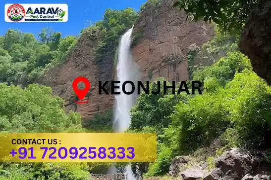 pest control keonjhar, pest control service keonjhar, best pest control keonjhar, professional pest control keonjhar, pest control company keonjhar, pest control services keonjhar, affordable pest control keonjhar, residential pest control keonjhar, commercial pest control keonjhar, termite control keonjhar, termite treatment keonjhar, cockroach control keonjhar, bed bug control keonjhar, rodent control keonjhar, mosquito control keonjhar, insect control keonjhar, house pest control keonjhar, office pest control keonjhar, pest removal keonjhar, pest management keonjhar, pest treatment keonjhar, local pest control keonjhar, reliable pest control keonjhar, safe pest control keonjhar, effective pest control keonjhar, pest control company near keonjhar, professional pest treatment keonjhar, complete pest control solutions keonjhar, home pest control service keonjhar, business pest control service keonjhar