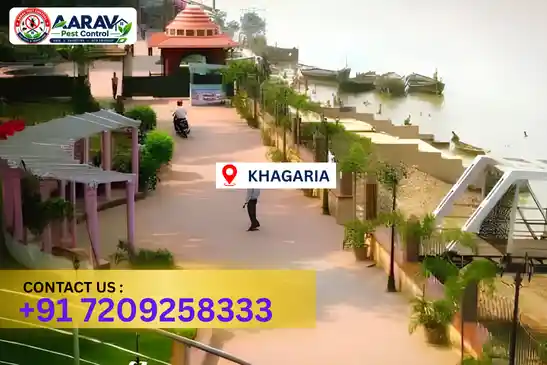 pest control in khagaria, pest control khagaria, pest control services khagaria, pest control company in khagaria, aarav pest control khagaria, best pest control in khagaria, professional pest control khagaria, termite control in khagaria, termite treatment khagaria, cockroach control khagaria, bed bug control khagaria, mosquito control khagaria, rat control khagaria, rodent control khagaria, ant control khagaria, lizard control khagaria, wood borer control khagaria, wood borer treatment khagaria, general pest control khagaria, home pest control khagaria, commercial pest control khagaria, pest control near me khagaria, pest control price khagaria, pest control price list khagaria, price list in khagaria, pest control cost khagaria, termite control price khagaria, wood borer treatment price khagaria, best pest control company in khagaria, pest control service in khagaria, aarav pest control price list khagaria, aarav pest control termite control khagaria, aarav pest control wood borer treatment khagaria