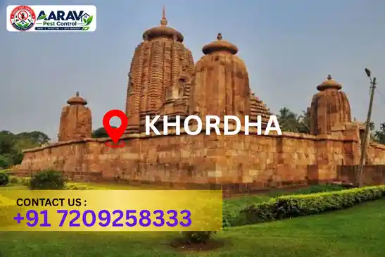 pest control khordha, pest control service khordha, best pest control khordha, professional pest control khordha, pest control company khordha, pest control services khordha, affordable pest control khordha, residential pest control khordha, commercial pest control khordha, termite control khordha, termite treatment khordha, cockroach control khordha, bed bug control khordha, rodent control khordha, mosquito control khordha, insect control khordha, house pest control khordha, office pest control khordha, pest removal khordha, pest management khordha, pest treatment khordha, local pest control khordha, reliable pest control khordha, safe pest control khordha, effective pest control khordha, pest control company near khordha, professional pest treatment khordha, complete pest control solutions khordha, home pest control service khordha, business pest control service khordha