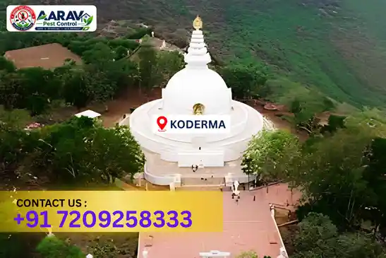 koderma pest control, pest control in koderma, pest control service koderma, pest control company in koderma, best pest control koderma, home pest control koderma, commercial pest control koderma, termite control in koderma, termite treatment koderma, termite control service koderma, cockroach control koderma, cockroach treatment koderma, mosquito control koderma, mosquito treatment koderma, bed bug control koderma, bed bug treatment koderma, rat control koderma, rodent control koderma, lizard control koderma, ant control koderma, general pest control koderma, pest management koderma, pest control price koderma, koderma pest control price list, price list in koderma, pest control company in koderma, termite control in koderma, affordable pest control koderma, pest control near me koderma, professional pest control koderma, pest control services koderma jharkhand, aarav pest control koderma, aarav pest control in koderma, aarav pest control jharkhand.