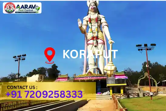 pest control koraput, pest control service koraput, best pest control koraput, professional pest control koraput, pest control company koraput, pest control services koraput, affordable pest control koraput, residential pest control koraput, commercial pest control koraput, termite control koraput, termite treatment koraput, cockroach control koraput, bed bug control koraput, rodent control koraput, mosquito control koraput, insect control koraput, house pest control koraput, office pest control koraput, pest removal koraput, pest management koraput, pest treatment koraput, local pest control koraput, reliable pest control koraput, safe pest control koraput, effective pest control koraput, pest control company near koraput, professional pest treatment koraput, complete pest control solutions koraput, home pest control service koraput, business pest control service koraput