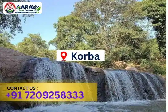 pest control in korba, pest control korba, pest control services korba, pest control company in korba, best pest control in korba, professional pest control korba, termite control in korba, termite treatment korba, cockroach control korba, cockroach treatment korba, bed bug control korba, mosquito control korba, rat control korba, rodent control korba, ant control korba, lizard control korba, general pest control korba, home pest control korba, commercial pest control korba, pest control near me korba, pest control price korba, pest control price list korba, price list in korba, pest control cost korba, termite control price korba, termite treatment price korba, best pest control company in korba, pest control service in korba, insect care pest control korba