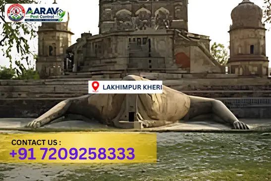 lakhimpur kheri pest control, pest control in lakhimpur kheri, pest control service lakhimpur kheri, pest control company in lakhimpur kheri, best pest control lakhimpur kheri, home pest control lakhimpur kheri, commercial pest control lakhimpur kheri, termite control in lakhimpur kheri, termite treatment lakhimpur kheri, cockroach control lakhimpur kheri, mosquito control lakhimpur kheri, bed bug control lakhimpur kheri, rat control lakhimpur kheri, lizard control lakhimpur kheri, ant control lakhimpur kheri, general pest control lakhimpur kheri, pest management lakhimpur kheri, pest control price lakhimpur kheri, lakhimpur kheri pest control price list, price list in lakhimpur kheri, affordable pest control lakhimpur kheri, professional pest control lakhimpur kheri, pest control near me lakhimpur kheri, pest control services lakhimpur kheri uttar pradesh, aarav pest control lakhimpur kheri, aarav pest control in lakhimpur kheri, aarav pest control uttar pradesh.