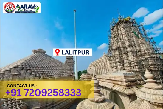 lalitpur pest control, pest control in lalitpur, pest control service lalitpur, pest control company in lalitpur, best pest control lalitpur, home pest control lalitpur, commercial pest control lalitpur, termite control in lalitpur, termite treatment lalitpur, cockroach control lalitpur, mosquito control lalitpur, bed bug control lalitpur, rat control lalitpur, lizard control lalitpur, ant control lalitpur, general pest control lalitpur, pest management lalitpur, pest control price lalitpur, lalitpur pest control price list, price list in lalitpur, affordable pest control lalitpur, professional pest control lalitpur, pest control near me lalitpur, pest control services lalitpur uttar pradesh, aarav pest control lalitpur, aarav pest control in lalitpur, aarav pest control uttar pradesh.