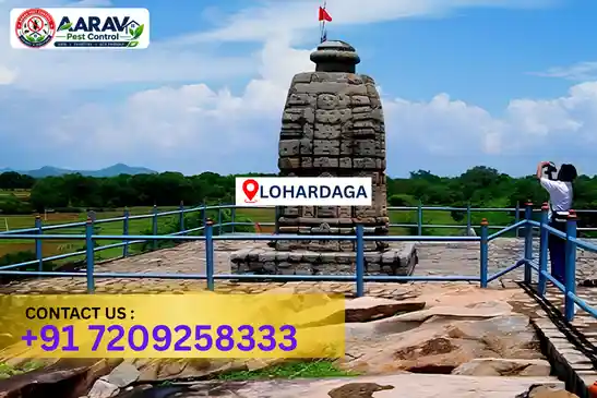 lohardaga pest control, pest control in lohardaga, pest control service lohardaga, pest control company in lohardaga, best pest control lohardaga, home pest control lohardaga, commercial pest control lohardaga, termite control in lohardaga, termite treatment lohardaga, termite control service lohardaga, cockroach control lohardaga, cockroach treatment lohardaga, mosquito control lohardaga, mosquito treatment lohardaga, bed bug control lohardaga, bed bug treatment lohardaga, rat control lohardaga, rodent control lohardaga, lizard control lohardaga, ant control lohardaga, general pest control lohardaga, pest management lohardaga, pest control price lohardaga, lohardaga pest control price list, price list in lohardaga, pest control company in lohardaga, termite control in lohardaga, affordable pest control lohardaga, pest control near me lohardaga, professional pest control lohardaga, pest control services lohardaga jharkhand, aarav pest control lohardaga, aarav pest control in lohardaga, aarav pest control jharkhand.
