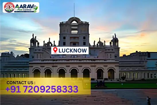 lucknow pest control, pest control in lucknow, pest control service lucknow, pest control company in lucknow, best pest control lucknow, home pest control lucknow, commercial pest control lucknow, termite control in lucknow, termite treatment lucknow, cockroach control lucknow, mosquito control lucknow, bed bug control lucknow, rat control lucknow, lizard control lucknow, ant control lucknow, general pest control lucknow, pest management lucknow, pest control price lucknow, lucknow pest control price list, price list in lucknow, affordable pest control lucknow, professional pest control lucknow, pest control near me lucknow, pest control services lucknow uttar pradesh, aarav pest control lucknow, aarav pest control in lucknow, aarav pest control uttar pradesh.