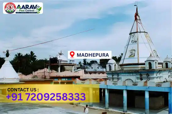 pest control in madhepura, pest control madhepura, pest control services madhepura, pest control company in madhepura, aarav pest control madhepura, best pest control in madhepura, professional pest control madhepura, termite control in madhepura, termite treatment madhepura, cockroach control madhepura, bed bug control madhepura, mosquito control madhepura, rat control madhepura, rodent control madhepura, ant control madhepura, lizard control madhepura, wood borer control madhepura, wood borer treatment madhepura, general pest control madhepura, home pest control madhepura, commercial pest control madhepura, pest control near me madhepura, pest control price madhepura, pest control price list madhepura, price list in madhepura, pest control cost madhepura, termite control price madhepura, wood borer treatment price madhepura, best pest control company in madhepura, pest control service in madhepura, aarav pest control price list madhepura, aarav pest control termite control madhepura, aarav pest control wood borer treatment madhepura