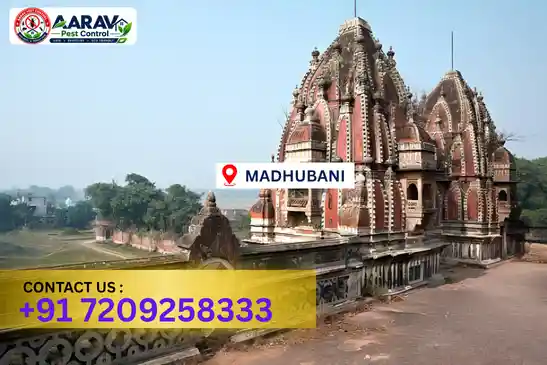 pest control in madhubani, pest control madhubani, pest control services madhubani, pest control company in madhubani, aarav pest control madhubani, best pest control in madhubani, professional pest control madhubani, termite control in madhubani, termite treatment madhubani, cockroach control madhubani, bed bug control madhubani, mosquito control madhubani, rat control madhubani, rodent control madhubani, ant control madhubani, lizard control madhubani, wood borer control madhubani, wood borer treatment madhubani, general pest control madhubani, home pest control madhubani, commercial pest control madhubani, pest control near me madhubani, pest control price madhubani, pest control price list madhubani, price list in madhubani, pest control cost madhubani, termite control price madhubani, wood borer treatment price madhubani, best pest control company in madhubani, pest control service in madhubani, aarav pest control price list madhubani, aarav pest control termite control madhubani, aarav pest control wood borer treatment madhubani