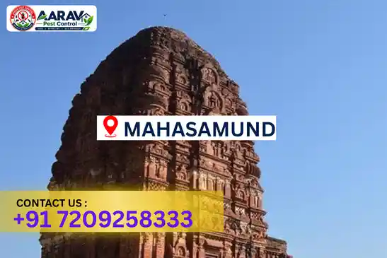 pest control in mahasamund, pest control mahasamund, pest control services mahasamund, pest control company in mahasamund, best pest control in mahasamund, professional pest control mahasamund, termite control in mahasamund, termite treatment mahasamund, cockroach control mahasamund, cockroach treatment mahasamund, bed bug control mahasamund, mosquito control mahasamund, rat control mahasamund, rodent control mahasamund, ant control mahasamund, lizard control mahasamund, general pest control mahasamund, home pest control mahasamund, commercial pest control mahasamund, pest control near me mahasamund, pest control price mahasamund, pest control price list mahasamund, price list in mahasamund, pest control cost mahasamund, termite control price mahasamund, termite treatment price mahasamund, best pest control company in mahasamund, pest control service in mahasamund, insect care pest control mahasamund