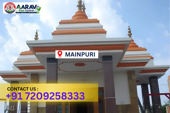 mainpuri pest control, pest control in mainpuri, pest control service mainpuri, pest control company in mainpuri, best pest control mainpuri, home pest control mainpuri, commercial pest control mainpuri, termite control in mainpuri, termite treatment mainpuri, cockroach control mainpuri, mosquito control mainpuri, bed bug control mainpuri, rat control mainpuri, lizard control mainpuri, ant control mainpuri, general pest control mainpuri, pest management mainpuri, pest control price mainpuri, mainpuri pest control price list, price list in mainpuri, affordable pest control mainpuri, professional pest control mainpuri, pest control near me mainpuri, pest control services mainpuri uttar pradesh, aarav pest control mainpuri, aarav pest control in mainpuri, aarav pest control uttar pradesh.