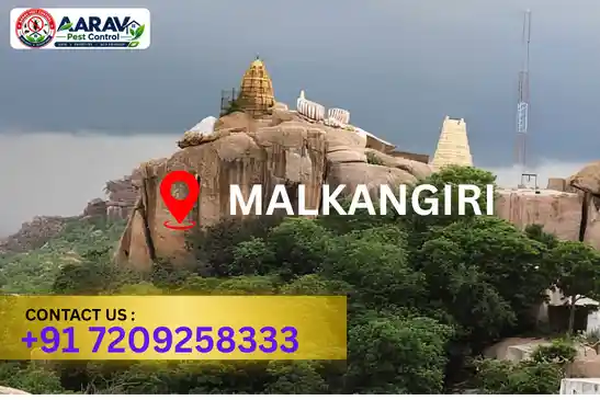 pest control malkangiri, pest control service malkangiri, best pest control malkangiri, professional pest control malkangiri, pest control company malkangiri, pest control services malkangiri, affordable pest control malkangiri, residential pest control malkangiri, commercial pest control malkangiri, termite control malkangiri, termite treatment malkangiri, cockroach control malkangiri, bed bug control malkangiri, rodent control malkangiri, mosquito control malkangiri, insect control malkangiri, house pest control malkangiri, office pest control malkangiri, pest removal malkangiri, pest management malkangiri, pest treatment malkangiri, local pest control malkangiri, reliable pest control malkangiri, safe pest control malkangiri, effective pest control malkangiri, pest control company near malkangiri, professional pest treatment malkangiri, complete pest control solutions malkangiri, home pest control service malkangiri, business pest control service malkangiri