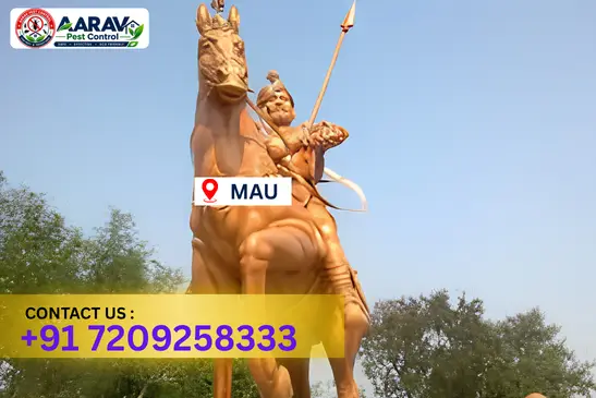 mau pest control, pest control in mau, pest control service mau, pest control company in mau, best pest control mau, home pest control mau, commercial pest control mau, termite control in mau, termite treatment mau, cockroach control mau, mosquito control mau, bed bug control mau, rat control mau, lizard control mau, ant control mau, general pest control mau, pest management mau, pest control price mau, mau pest control price list, price list in mau, affordable pest control mau, professional pest control mau, pest control near me mau, pest control services mau uttar pradesh, aarav pest control mau, aarav pest control in mau, aarav pest control uttar pradesh.