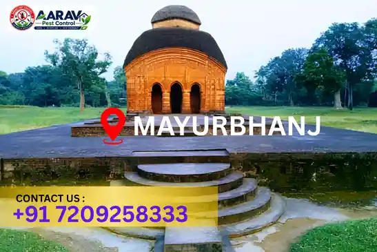 pest control mayurbhanj, pest control service mayurbhanj, best pest control mayurbhanj, professional pest control mayurbhanj, pest control company mayurbhanj, pest control services mayurbhanj, affordable pest control mayurbhanj, residential pest control mayurbhanj, commercial pest control mayurbhanj, termite control mayurbhanj, termite treatment mayurbhanj, cockroach control mayurbhanj, bed bug control mayurbhanj, rodent control mayurbhanj, mosquito control mayurbhanj, insect control mayurbhanj, house pest control mayurbhanj, office pest control mayurbhanj, pest removal mayurbhanj, pest management mayurbhanj, pest treatment mayurbhanj, local pest control mayurbhanj, reliable pest control mayurbhanj, safe pest control mayurbhanj, effective pest control mayurbhanj, pest control company near mayurbhanj, professional pest treatment mayurbhanj, complete pest control solutions mayurbhanj, home pest control service mayurbhanj, business pest control service mayurbhanj