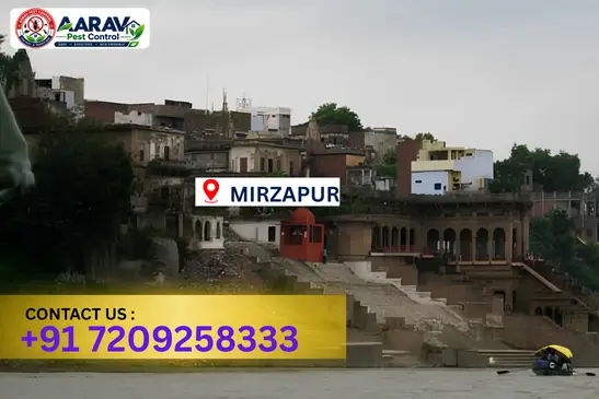mirzapur pest control, pest control in mirzapur, pest control service mirzapur, pest control company in mirzapur, best pest control mirzapur, home pest control mirzapur, commercial pest control mirzapur, termite control in mirzapur, termite treatment mirzapur, cockroach control mirzapur, mosquito control mirzapur, bed bug control mirzapur, rat control mirzapur, lizard control mirzapur, ant control mirzapur, general pest control mirzapur, pest management mirzapur, pest control price mirzapur, mirzapur pest control price list, price list in mirzapur, affordable pest control mirzapur, professional pest control mirzapur, pest control near me mirzapur, pest control services mirzapur uttar pradesh, aarav pest control mirzapur, aarav pest control in mirzapur, aarav pest control uttar pradesh.