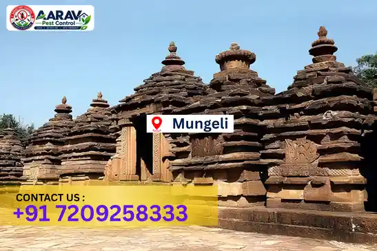 pest control in mungeli, pest control mungeli, pest control services mungeli, pest control company in mungeli, best pest control in mungeli, professional pest control mungeli, termite control in mungeli, termite treatment mungeli, cockroach control mungeli, cockroach treatment mungeli, bed bug control mungeli, mosquito control mungeli, rat control mungeli, rodent control mungeli, ant control mungeli, lizard control mungeli, general pest control mungeli, home pest control mungeli, commercial pest control mungeli, pest control near me mungeli, pest control price mungeli, pest control price list mungeli, price list in mungeli, pest control cost mungeli, termite control price mungeli, termite treatment price mungeli, best pest control company in mungeli, pest control service in mungeli, insect care pest control mungeli