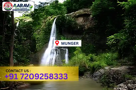 pest control in munger, pest control munger, pest control services munger, pest control company in munger, aarav pest control munger, best pest control in munger, professional pest control munger, termite control in munger, termite treatment munger, cockroach control munger, bed bug control munger, mosquito control munger, rat control munger, rodent control munger, ant control munger, lizard control munger, wood borer control munger, wood borer treatment munger, general pest control munger, home pest control munger, commercial pest control munger, pest control near me munger, pest control price munger, pest control price list munger, price list in munger, pest control cost munger, termite control price munger, wood borer treatment price munger, best pest control company in munger, pest control service in munger, aarav pest control price list munger, aarav pest control termite control munger, aarav pest control wood borer treatment munger
