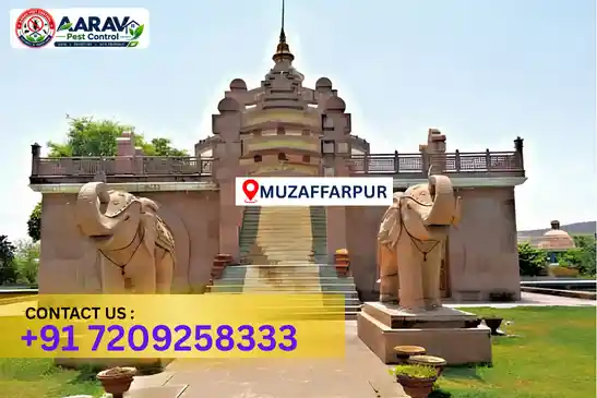 pest control in muzaffarpur, pest control muzaffarpur, pest control services muzaffarpur, pest control company in muzaffarpur, aarav pest control muzaffarpur, best pest control in muzaffarpur, professional pest control muzaffarpur, termite control in muzaffarpur, termite treatment muzaffarpur, cockroach control muzaffarpur, bed bug control muzaffarpur, mosquito control muzaffarpur, rat control muzaffarpur, rodent control muzaffarpur, ant control muzaffarpur, lizard control muzaffarpur, wood borer control muzaffarpur, wood borer treatment muzaffarpur, general pest control muzaffarpur, home pest control muzaffarpur, commercial pest control muzaffarpur, pest control near me muzaffarpur, pest control price muzaffarpur, pest control price list muzaffarpur, price list in muzaffarpur, pest control cost muzaffarpur, termite control price muzaffarpur, wood borer treatment price muzaffarpur, best pest control company in muzaffarpur, pest control service in muzaffarpur, aarav pest control price list muzaffarpur, aarav pest control termite control muzaffarpur, aarav pest control wood borer treatment muzaffarpur