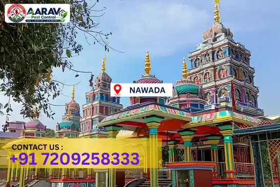pest control in nawada, pest control nawada, pest control services nawada, pest control company in nawada, aarav pest control nawada, best pest control in nawada, professional pest control nawada, termite control in nawada, termite treatment nawada, cockroach control nawada, bed bug control nawada, mosquito control nawada, rat control nawada, rodent control nawada, ant control nawada, lizard control nawada, wood borer control nawada, wood borer treatment nawada, general pest control nawada, home pest control nawada, commercial pest control nawada, pest control near me nawada, pest control price nawada, pest control price list nawada, price list in nawada, pest control cost nawada, termite control price nawada, wood borer treatment price nawada, best pest control company in nawada, pest control service in nawada, aarav pest control price list nawada, aarav pest control termite control nawada, aarav pest control wood borer treatment nawada