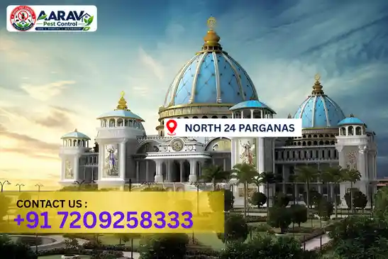 pest control in north 24 parganas, pest control north 24 parganas, pest control services north 24 parganas, pest control company in north 24 parganas, best pest control in north 24 parganas, professional pest control north 24 parganas, termite control in north 24 parganas, termite treatment north 24 parganas, cockroach control north 24 parganas, bed bug control north 24 parganas, mosquito control north 24 parganas, rat control north 24 parganas, rodent control north 24 parganas, ant control north 24 parganas, lizard control north 24 parganas, wood borer control north 24 parganas, wood borer treatment north 24 parganas, general pest control north 24 parganas, home pest control north 24 parganas, commercial pest control north 24 parganas, pest control near me north 24 parganas, pest control price north 24 parganas, pest control price list north 24 parganas, price list in north 24 parganas, pest control cost north 24 parganas, termite control price north 24 parganas, wood borer treatment price north 24 parganas, best pest control company in north 24 parganas, pest control service in north 24 parganas, insect care pest control north 24 parganas
