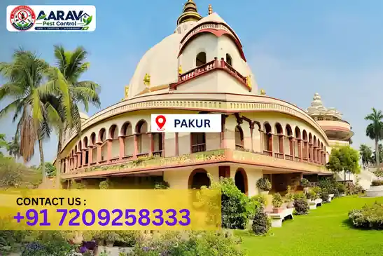 pakur pest control, pest control in pakur, pest control service pakur, pest control company in pakur, best pest control pakur, home pest control pakur, commercial pest control pakur, termite control in pakur, termite treatment pakur, termite control service pakur, cockroach control pakur, cockroach treatment pakur, mosquito control pakur, mosquito treatment pakur, bed bug control pakur, bed bug treatment pakur, rat control pakur, rodent control pakur, lizard control pakur, ant control pakur, general pest control pakur, pest management pakur, pest control price pakur, pakur pest control price list, price list in pakur, pest control company in pakur, termite control in pakur, affordable pest control pakur, pest control near me pakur, professional pest control pakur, pest control services pakur jharkhand, aarav pest control pakur, aarav pest control in pakur, aarav pest control jharkhand.