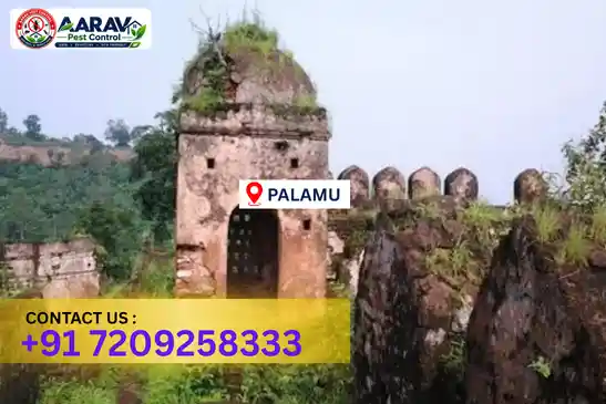 palamu pest control, pest control in palamu, pest control service palamu, pest control company in palamu, best pest control palamu, home pest control palamu, commercial pest control palamu, termite control in palamu, termite treatment palamu, termite control service palamu, cockroach control palamu, cockroach treatment palamu, mosquito control palamu, mosquito treatment palamu, bed bug control palamu, bed bug treatment palamu, rat control palamu, rodent control palamu, lizard control palamu, ant control palamu, general pest control palamu, pest management palamu, pest control price palamu, palamu pest control price list, price list in palamu, pest control company in palamu, termite control in palamu, affordable pest control palamu, pest control near me palamu, professional pest control palamu, pest control services palamu jharkhand, aarav pest control palamu, aarav pest control in palamu, aarav pest control jharkhand.