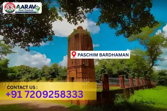 pest control in paschim bardhaman, pest control paschim bardhaman, pest control services paschim bardhaman, pest control company in paschim bardhaman, best pest control in paschim bardhaman, professional pest control paschim bardhaman, termite control in paschim bardhaman, termite treatment paschim bardhaman, cockroach control paschim bardhaman, bed bug control paschim bardhaman, mosquito control paschim bardhaman, rat control paschim bardhaman, rodent control paschim bardhaman, ant control paschim bardhaman, lizard control paschim bardhaman, wood borer control paschim bardhaman, wood borer treatment paschim bardhaman, general pest control paschim bardhaman, home pest control paschim bardhaman, commercial pest control paschim bardhaman, pest control near me paschim bardhaman, pest control price paschim bardhaman, pest control price list paschim bardhaman, price list in paschim bardhaman, pest control cost paschim bardhaman, termite control price paschim bardhaman, wood borer treatment price paschim bardhaman, best pest control company in paschim bardhaman, pest control service in paschim bardhaman, insect care pest control paschim bardhaman