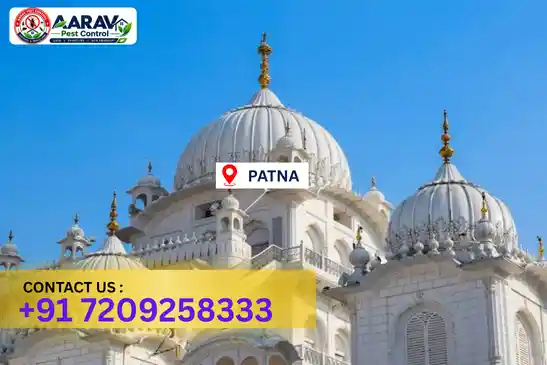 pest control in patna, pest control patna, pest control services patna, pest control company in patna, aarav pest control patna, best pest control in patna, professional pest control patna, termite control in patna, termite treatment patna, cockroach control patna, bed bug control patna, mosquito control patna, rat control patna, rodent control patna, ant control patna, lizard control patna, wood borer control patna, wood borer treatment patna, general pest control patna, home pest control patna, commercial pest control patna, pest control near me patna, pest control price patna, pest control price list patna, price list in patna, pest control cost patna, termite control price patna, wood borer treatment price patna, best pest control company in patna, pest control service in patna, aarav pest control price list patna, aarav pest control termite control patna, aarav pest control wood borer treatment patna