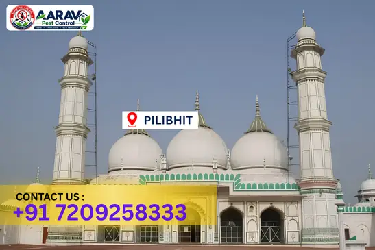 pilibhit pest control, pest control in pilibhit, pest control service pilibhit, pest control company in pilibhit, best pest control pilibhit, home pest control pilibhit, commercial pest control pilibhit, termite control in pilibhit, termite treatment pilibhit, cockroach control pilibhit, mosquito control pilibhit, bed bug control pilibhit, rat control pilibhit, lizard control pilibhit, ant control pilibhit, general pest control pilibhit, pest management pilibhit, pest control price pilibhit, pilibhit pest control price list, price list in pilibhit, affordable pest control pilibhit, professional pest control pilibhit, pest control near me pilibhit, pest control services pilibhit uttar pradesh, aarav pest control pilibhit, aarav pest control in pilibhit, aarav pest control uttar pradesh.