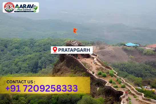 pratapgarh pest control, pest control in pratapgarh, pest control service pratapgarh, pest control company in pratapgarh, best pest control pratapgarh, home pest control pratapgarh, commercial pest control pratapgarh, termite control in pratapgarh, termite treatment pratapgarh, cockroach control pratapgarh, mosquito control pratapgarh, bed bug control pratapgarh, rat control pratapgarh, lizard control pratapgarh, ant control pratapgarh, general pest control pratapgarh, pest management pratapgarh, pest control price pratapgarh, pratapgarh pest control price list, price list in pratapgarh, affordable pest control pratapgarh, professional pest control pratapgarh, pest control near me pratapgarh, pest control services pratapgarh uttar pradesh, aarav pest control pratapgarh, aarav pest control in pratapgarh, aarav pest control uttar pradesh.