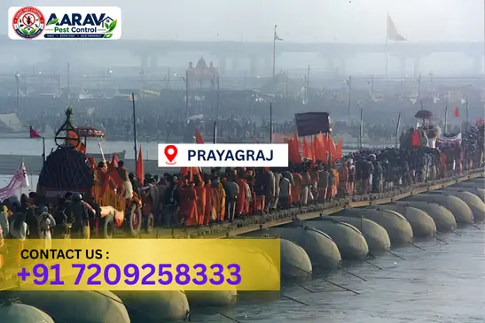 prayagraj pest control, pest control in prayagraj, pest control service prayagraj, pest control company in prayagraj, best pest control prayagraj, home pest control prayagraj, commercial pest control prayagraj, termite control in prayagraj, termite treatment prayagraj, cockroach control prayagraj, mosquito control prayagraj, bed bug control prayagraj, rat control prayagraj, lizard control prayagraj, ant control prayagraj, general pest control prayagraj, pest management prayagraj, pest control price prayagraj, prayagraj pest control price list, price list in prayagraj, affordable pest control prayagraj, professional pest control prayagraj, pest control near me prayagraj, pest control services prayagraj uttar pradesh, aarav pest control prayagraj, aarav pest control in prayagraj, aarav pest control uttar pradesh.