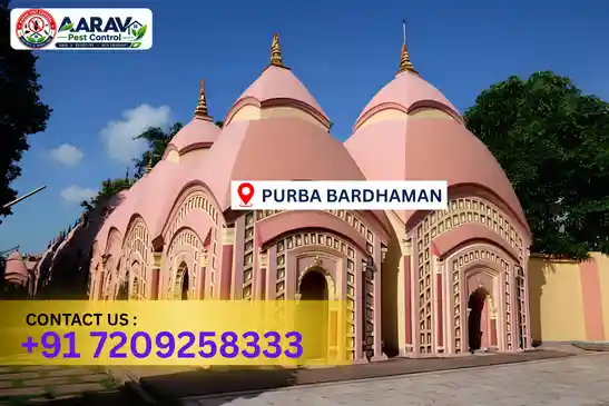 pest control in purba bardhaman, pest control purba bardhaman, pest control services purba bardhaman, pest control company in purba bardhaman, best pest control in purba bardhaman, professional pest control purba bardhaman, termite control in purba bardhaman, termite treatment purba bardhaman, cockroach control purba bardhaman, bed bug control purba bardhaman, mosquito control purba bardhaman, rat control purba bardhaman, rodent control purba bardhaman, ant control purba bardhaman, lizard control purba bardhaman, wood borer control purba bardhaman, wood borer treatment purba bardhaman, general pest control purba bardhaman, home pest control purba bardhaman, commercial pest control purba bardhaman, pest control near me purba bardhaman, pest control price purba bardhaman, pest control price list purba bardhaman, price list in purba bardhaman, pest control cost purba bardhaman, termite control price purba bardhaman, wood borer treatment price purba bardhaman, best pest control company in purba bardhaman, pest control service in purba bardhaman, insect care pest control purba bardhaman