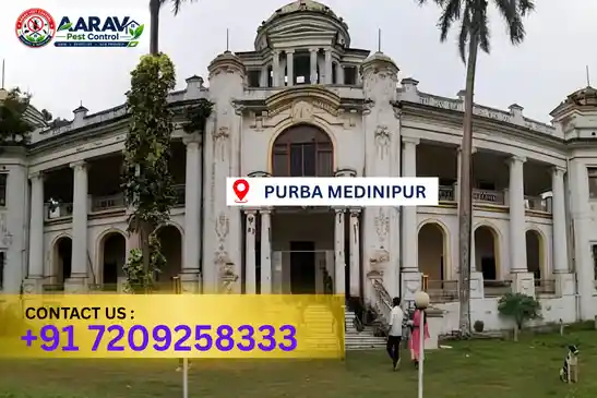 pest control in purba medinipur, pest control purba medinipur, pest control services purba medinipur, pest control company in purba medinipur, best pest control in purba medinipur, professional pest control purba medinipur, termite control in purba medinipur, termite treatment purba medinipur, cockroach control purba medinipur, bed bug control purba medinipur, mosquito control purba medinipur, rat control purba medinipur, rodent control purba medinipur, ant control purba medinipur, lizard control purba medinipur, wood borer control purba medinipur, wood borer treatment purba medinipur, general pest control purba medinipur, home pest control purba medinipur, commercial pest control purba medinipur, pest control near me purba medinipur, pest control price purba medinipur, pest control price list purba medinipur, price list in purba medinipur, pest control cost purba medinipur, termite control price purba medinipur, wood borer treatment price purba medinipur, best pest control company in purba medinipur, pest control service in purba medinipur, insect care pest control purba medinipur