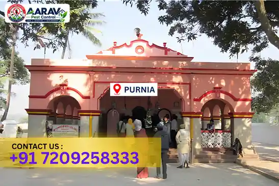 pest control in purnia, pest control purnia, pest control services purnia, pest control company in purnia, aarav pest control purnia, best pest control in purnia, professional pest control purnia, termite control in purnia, termite treatment purnia, cockroach control purnia, bed bug control purnia, mosquito control purnia, rat control purnia, rodent control purnia, ant control purnia, lizard control purnia, wood borer control purnia, wood borer treatment purnia, general pest control purnia, home pest control purnia, commercial pest control purnia, pest control near me purnia, pest control price purnia, pest control price list purnia, price list in purnia, pest control cost purnia, termite control price purnia, wood borer treatment price purnia, best pest control company in purnia, pest control service in purnia, aarav pest control price list purnia, aarav pest control termite control purnia, aarav pest control wood borer treatment purnia