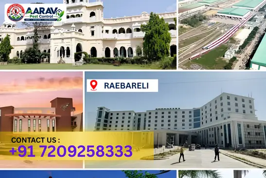 rae bareli pest control, pest control in rae bareli, pest control service rae bareli, pest control company in rae bareli, best pest control rae bareli, home pest control rae bareli, commercial pest control rae bareli, termite control in rae bareli, termite treatment rae bareli, cockroach control rae bareli, mosquito control rae bareli, bed bug control rae bareli, rat control rae bareli, lizard control rae bareli, ant control rae bareli, general pest control rae bareli, pest management rae bareli, pest control price rae bareli, rae bareli pest control price list, price list in rae bareli, affordable pest control rae bareli, professional pest control rae bareli, pest control near me rae bareli, pest control services rae bareli uttar pradesh, aarav pest control rae bareli, aarav pest control in rae bareli, aarav pest control uttar pradesh.
