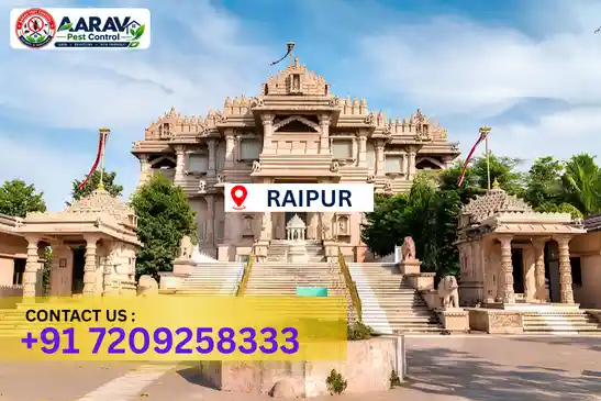 pest control in raipur, pest control raipur, pest control services raipur, pest control company in raipur, best pest control in raipur, professional pest control raipur, termite control in raipur, termite treatment raipur, cockroach control raipur, cockroach treatment raipur, bed bug control raipur, mosquito control raipur, rat control raipur, rodent control raipur, ant control raipur, lizard control raipur, general pest control raipur, home pest control raipur, commercial pest control raipur, pest control near me raipur, pest control price raipur, pest control price list raipur, price list in raipur, pest control cost raipur, termite control price raipur, termite treatment price raipur, best pest control company in raipur, pest control service in raipur, insect care pest control raipur